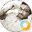 Paresh Nerkar
